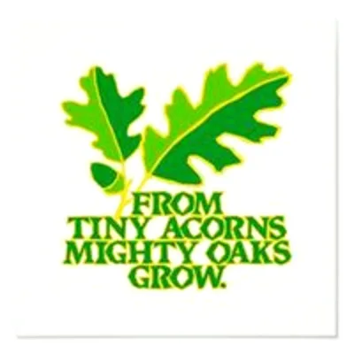 Acorns To Oaks Learning Center