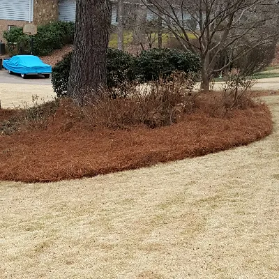 Davis Lawn Pro