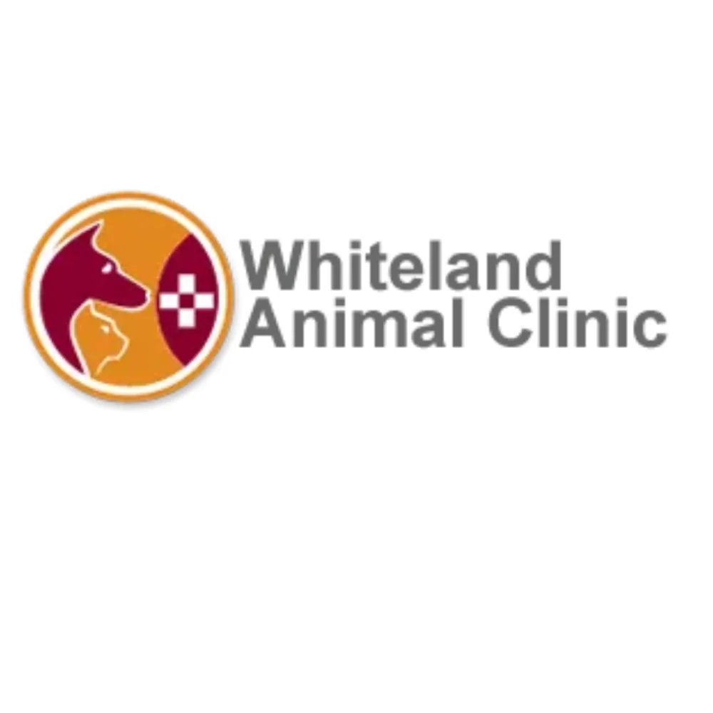 Whiteland Animal Clinic