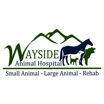 Wayside Animal Hospital