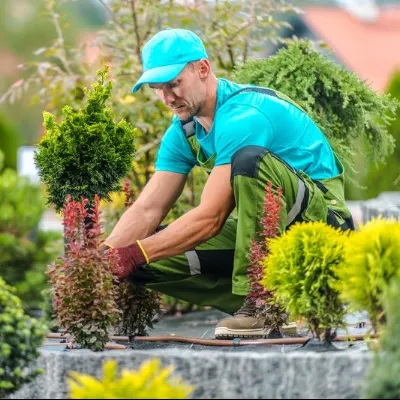 Five Star Landscaping