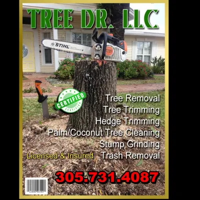 Tree Surgeon