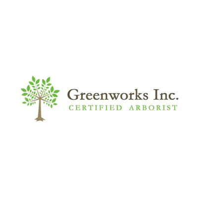Greenworks Inc