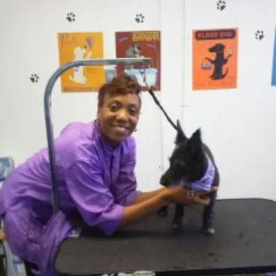 Sparklin' Cuts Dog Grooming