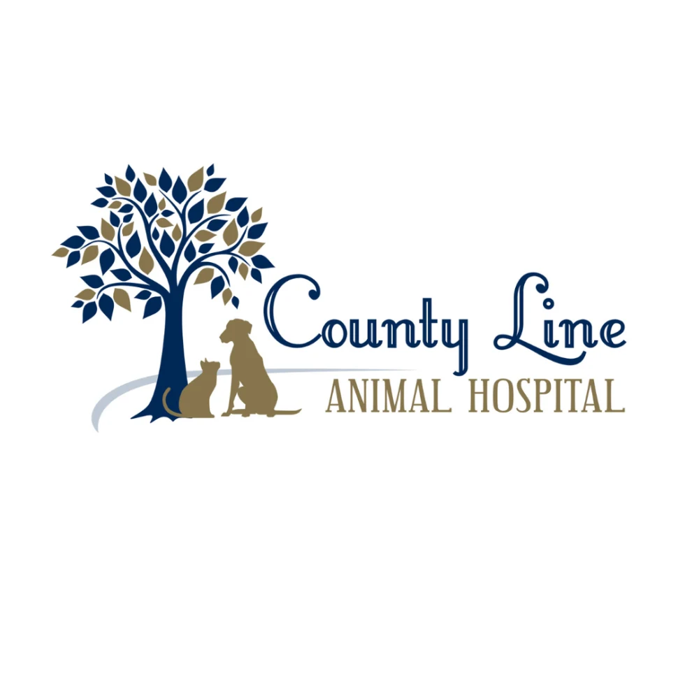 County Line Animal Hospital