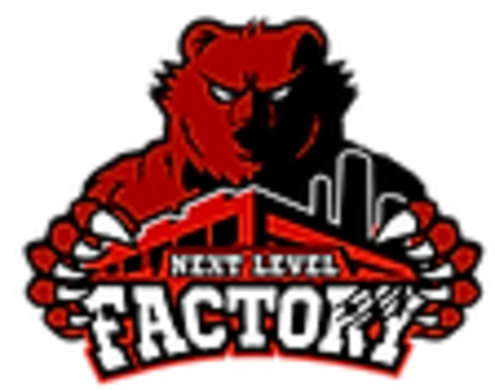 Next Level Factory
