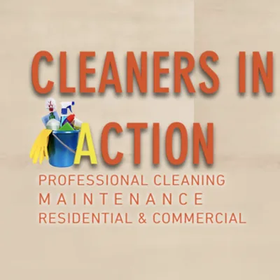 Cleaners In Action