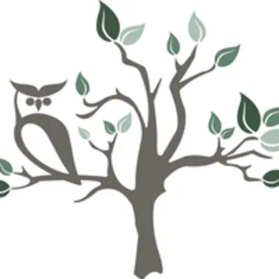 The Discovery Tree Academy
