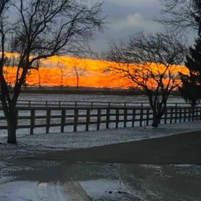 Redmon Fence And Farm Services LLC