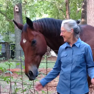 Equestrian Ventures Training And Instruction