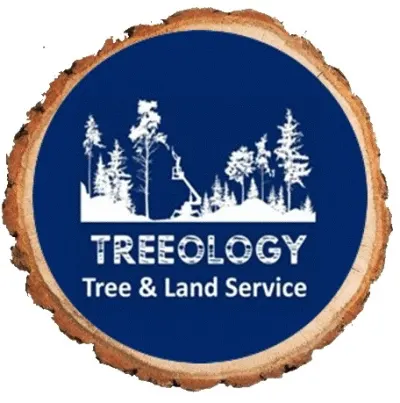 Treeology Tree Service