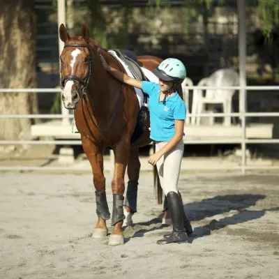 Country Trails & Riding School