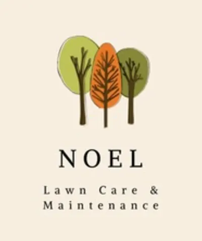 Noel Lawn Care & Maintenance LLC