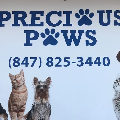 Precious Paws Park Ridge