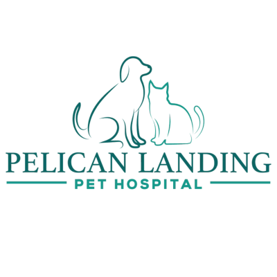 Pelican Landing Pet Hospital