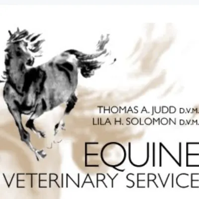 Equine Veterinary Services
