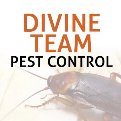 Divine T.E.A.M. Inc., Pest Mgmnt And Termite Protection