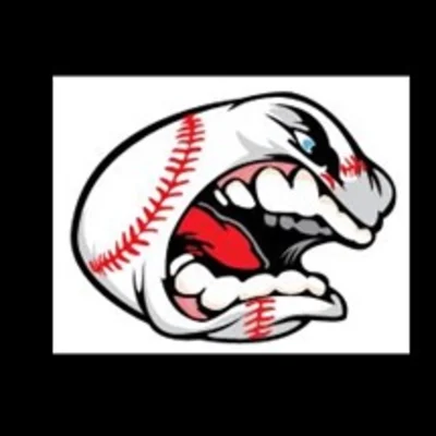 No-Hitter Baseball Instruction
