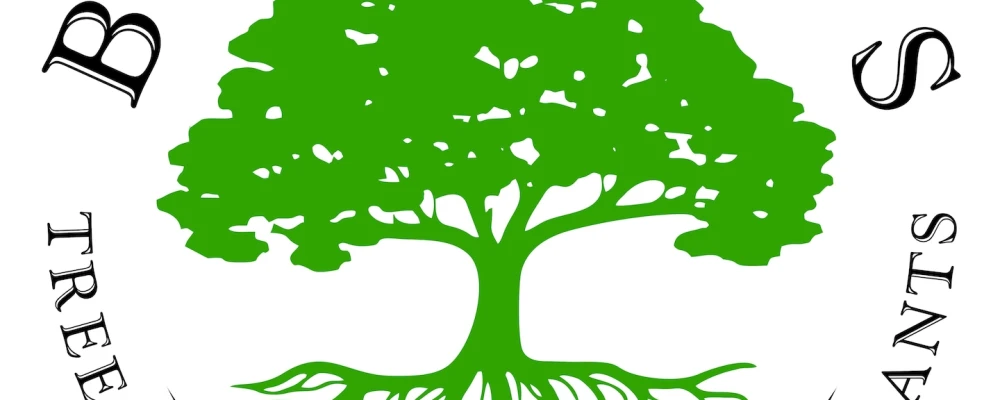 Bofinger's Tree Service And Consultants
