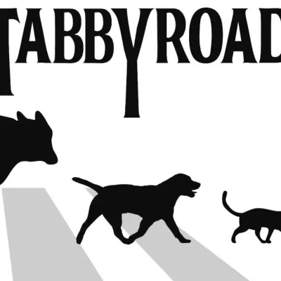 Tabby Road Animal Hospital