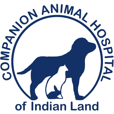 Companion Animal Hospital Of Indian Land