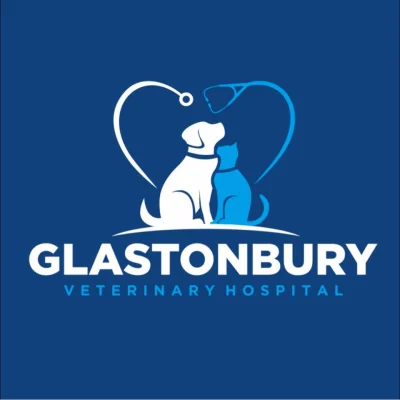 Glastonbury Veterinary Hospital