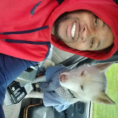 Solo K9 Training