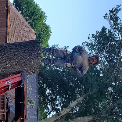 Rudy's Tree Service