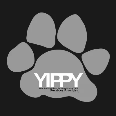 YIPPY Services Provider