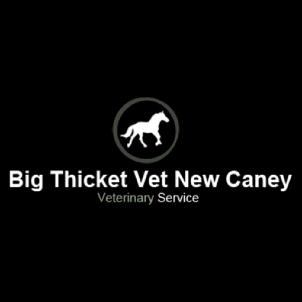 Big Thicket Veterinary Clinic- New Caney