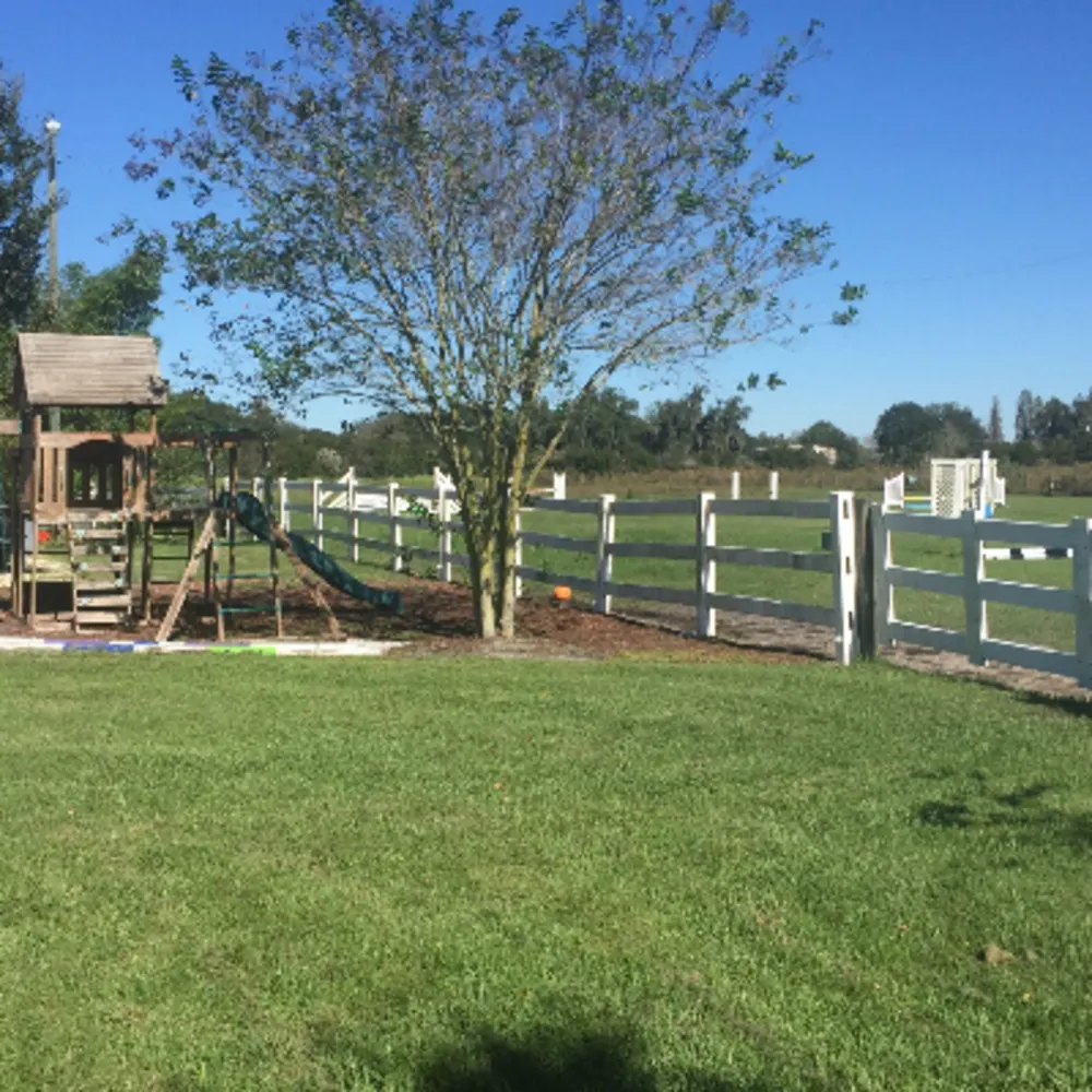 EquiSport Farms & Jump Designs