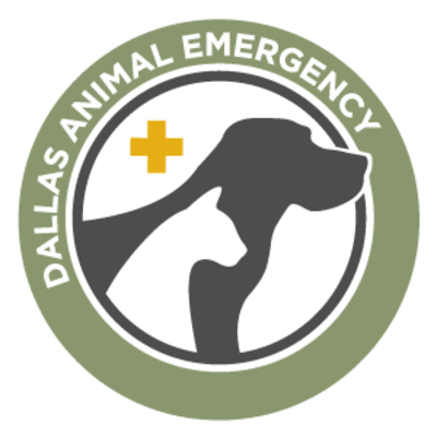 Dallas Animal Emergency