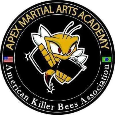 Apex Martial Arts Academy