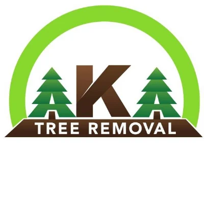 Emergency Tree Service Atlanta