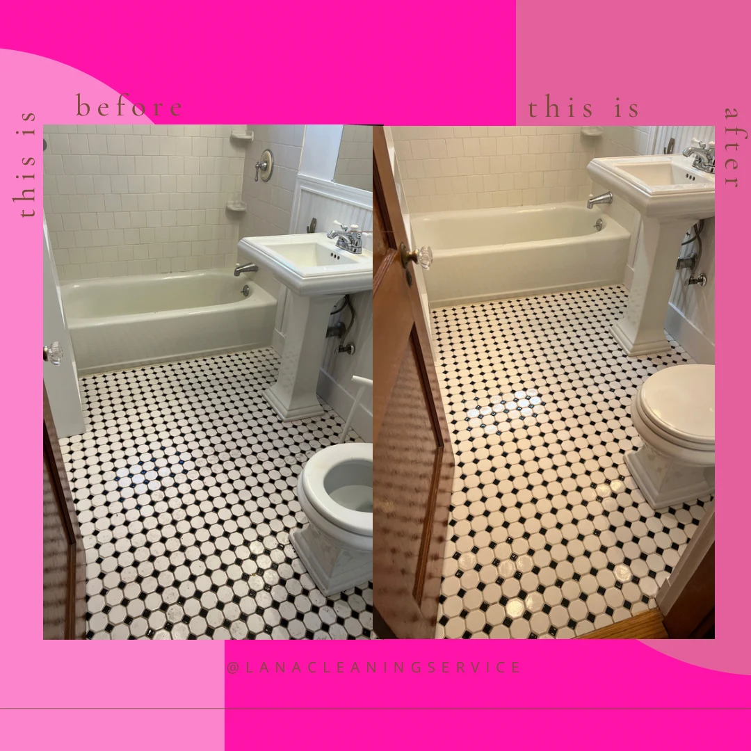 Lana Cleaning in Brockton, MA // HomeGuide