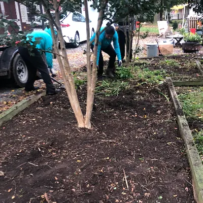 Franks Landscaping Llc