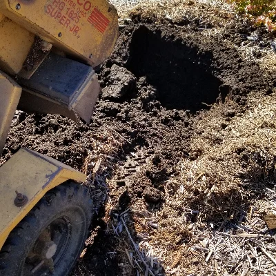 Diaz Lawn And Tree Service