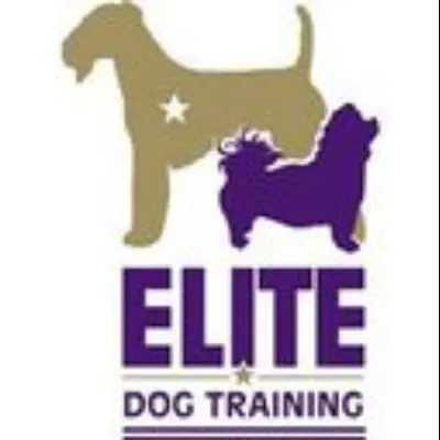 Elite Dog Training