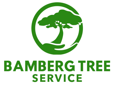 Bamberg Tree Service