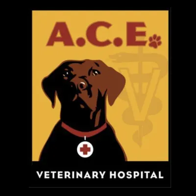 A.C.E. Veterinary Hospital
