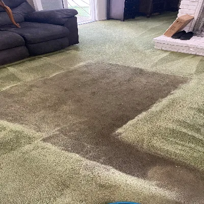 Carpet Cleaning