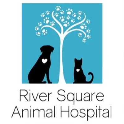 River Square Animal Hospital