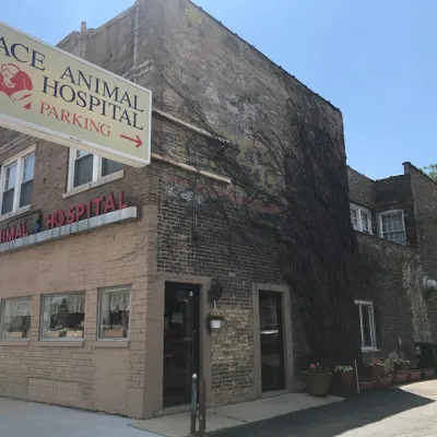 Ace Animal Hospital