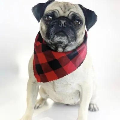 Malibu Vet Clinic