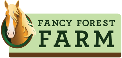 Fancy Forest Farm Guided Horseback Trail Rides