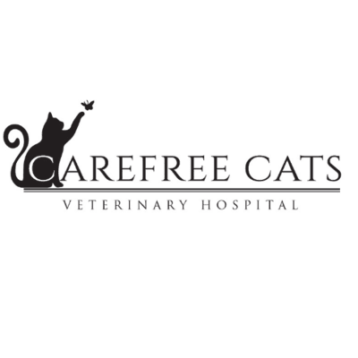 Carefree Cats Veterinary Hospital