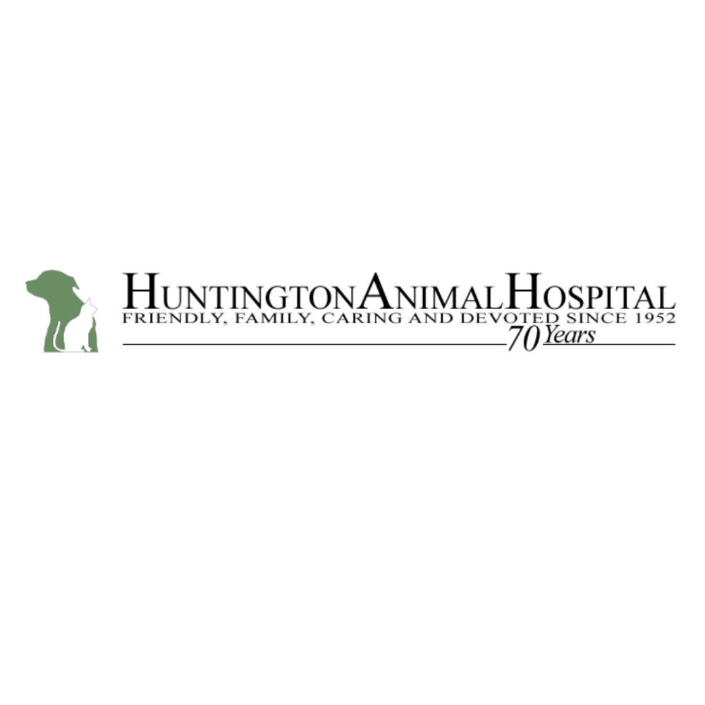 Huntington Animal Hospital
