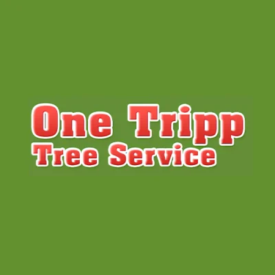ONE TRIPP TREE SERVICE