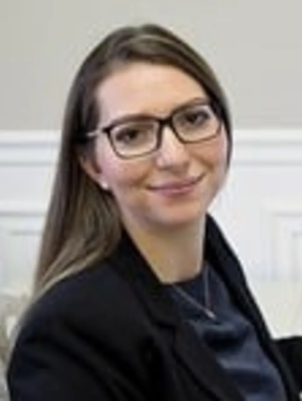 Michigan Law Services, PLLC