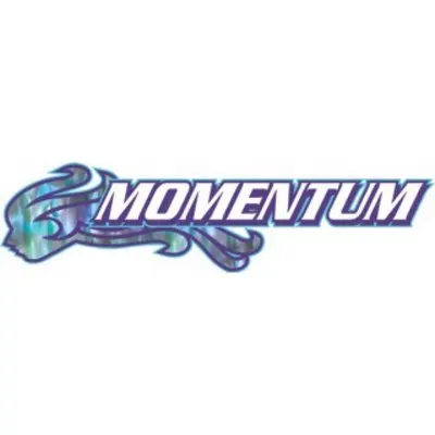 Momentum Tutoring